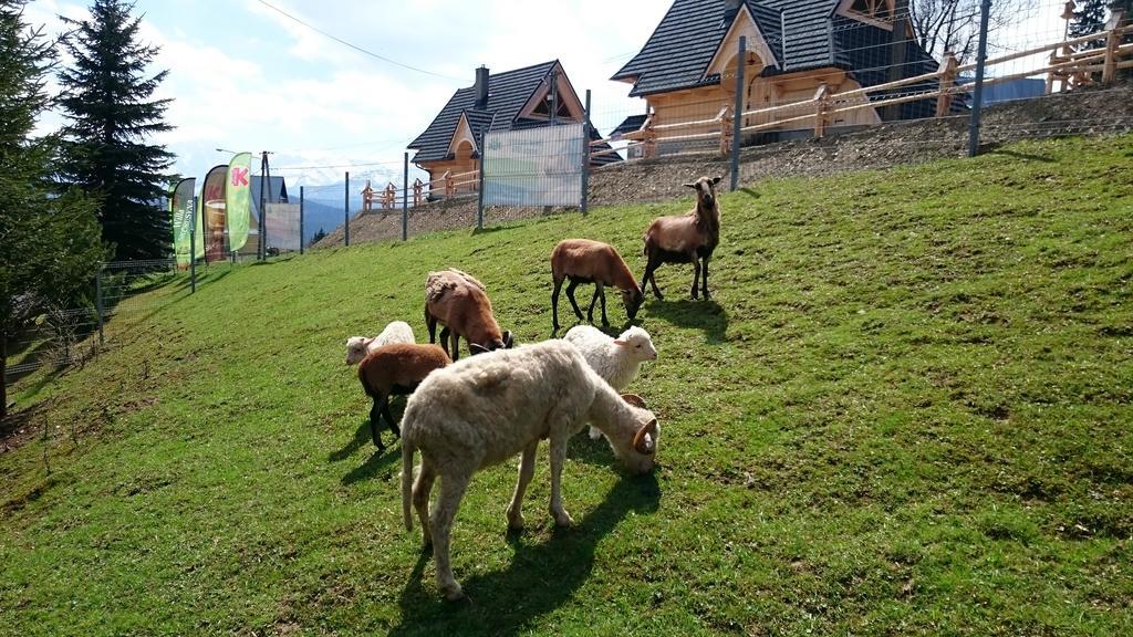 Gliczarów Willa Skorusyna المظهر الخارجي الصورة