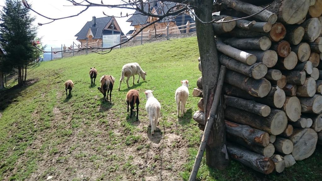 Gliczarów Willa Skorusyna المظهر الخارجي الصورة