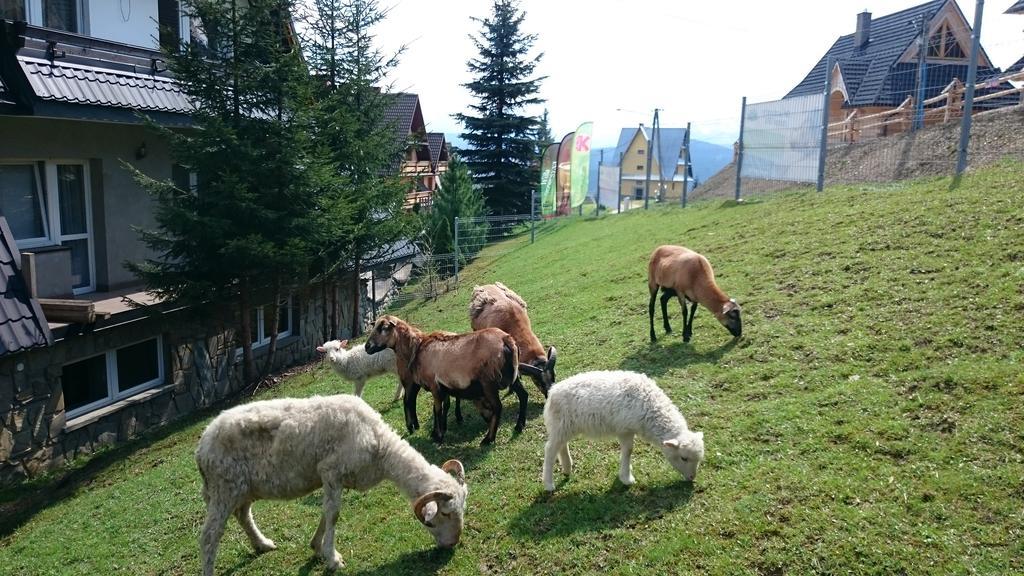 Gliczarów Willa Skorusyna المظهر الخارجي الصورة