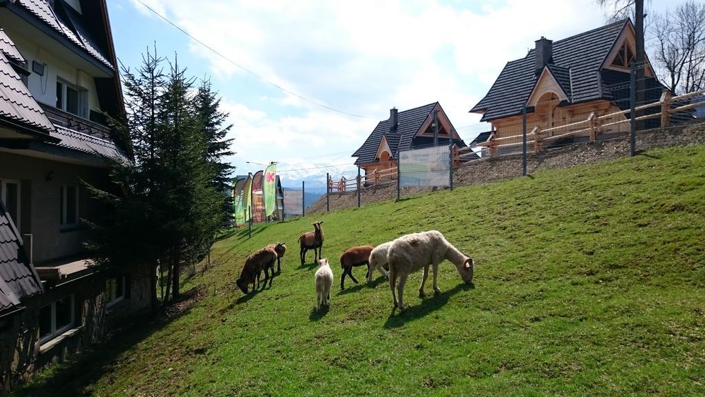 Gliczarów Willa Skorusyna المظهر الخارجي الصورة